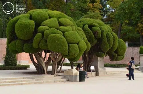 El Retiro - parque del retiro - parques en madrid - el ángel caido - jardines del retiro