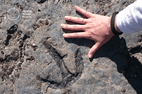 Ruta de los dinosaurios Soria - escapadas cerca de madrid