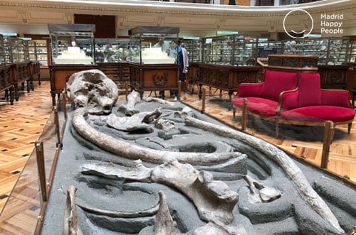 museo geominero de madrid - museos madrid - museos gratis madrid