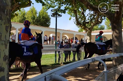 hipódromo de la zarzuela - hipódromo madrid - carreras de caballos madrid