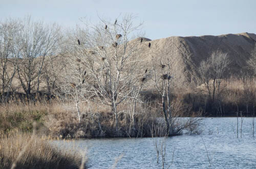 Humedales de Aranjuez - senderismo en madrid