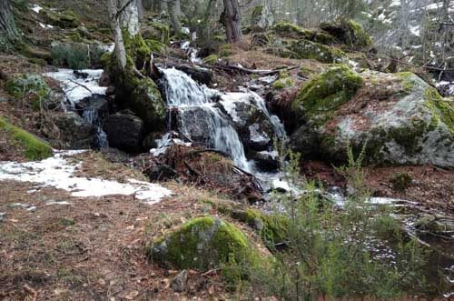 rutas senderismo madrid - senderismo en madrid