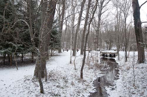 bosque finlandés rascafría