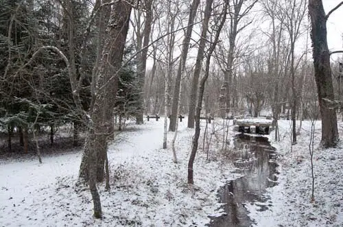 bosque finlandés rascafría