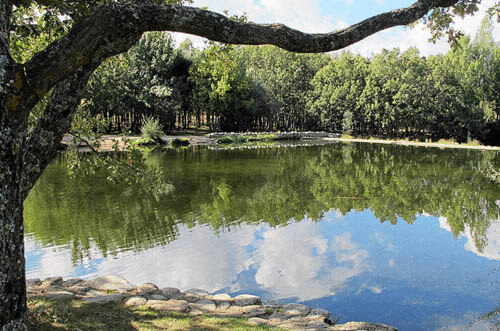 presillas de Rascafría