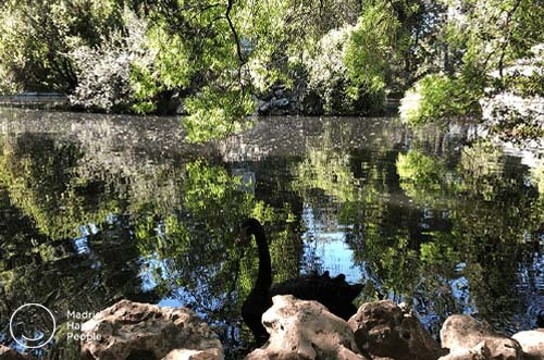 parque el capricho - parque del capricho - jardin el capricho - parques en madrid