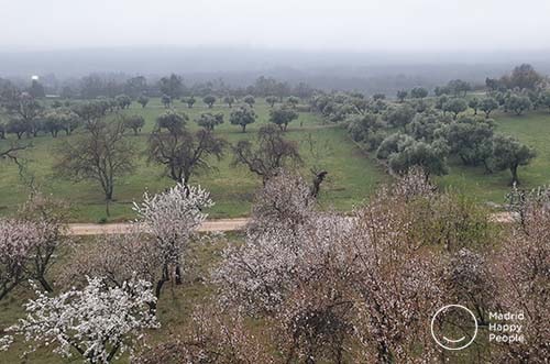 jardines monasterio del escorial