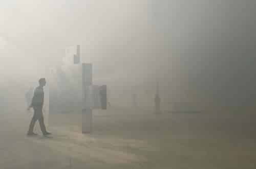 exposición palacio de cristal - palacio de cristal madrid - exposiciones madrid