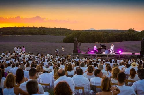 festival de la lavanda brihuega