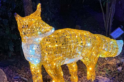 el bosque encantado - luces jardín botánico madrid