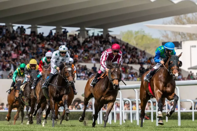 hipódromo madrid - hipódromo de la zarzuela - carreras de caballos madrid
