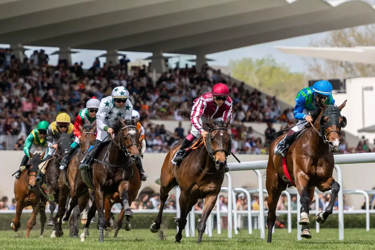 hipódromo madrid - hipódromo de la zarzuela - carreras de caballos madrid