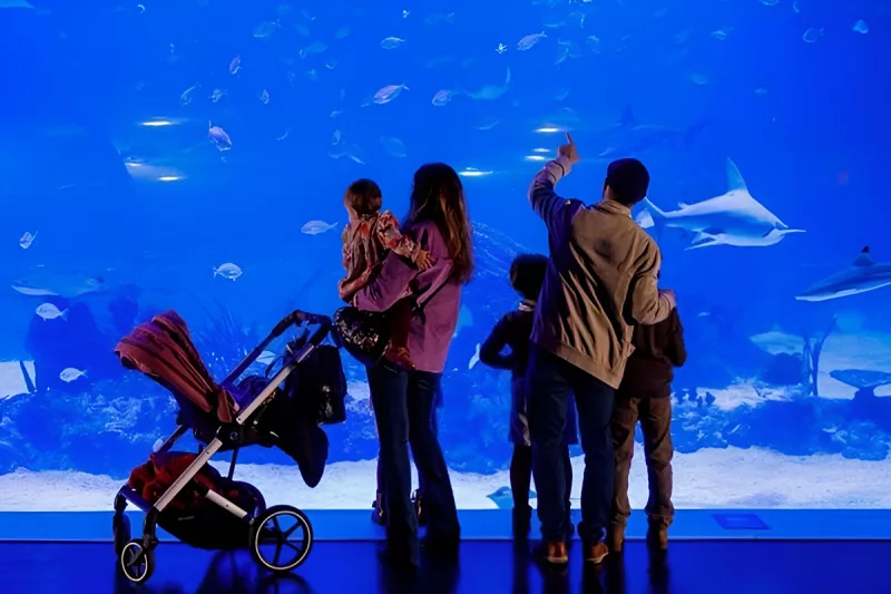 atlantis aquarium madrid - acuario xanadú - acuario madrid