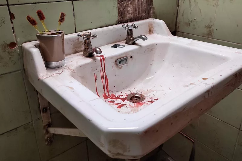 fox in a box madrid - escape room madrid