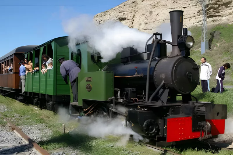 tren de vapor arganda - trenes en madrid