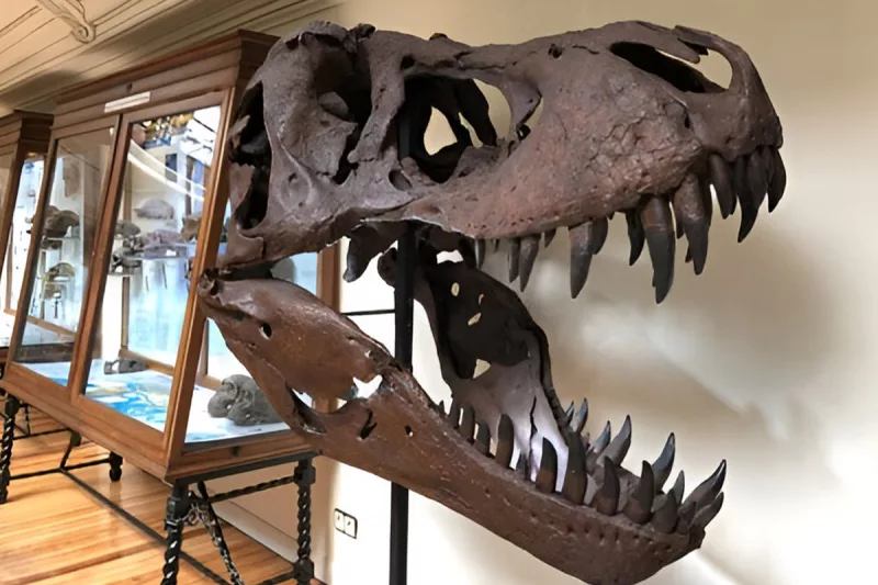 museo geominero - museos madrid -planes gratis madrid