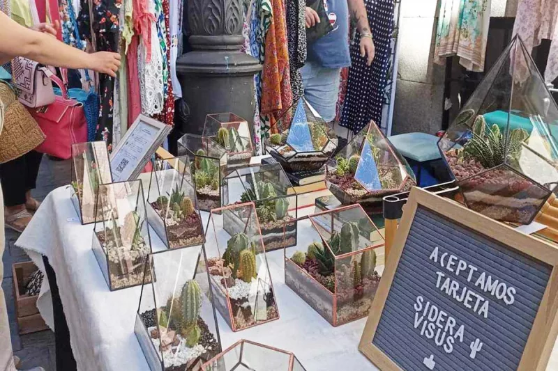 mercado de las ranas