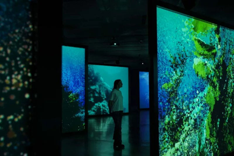 exposición ecos del océano