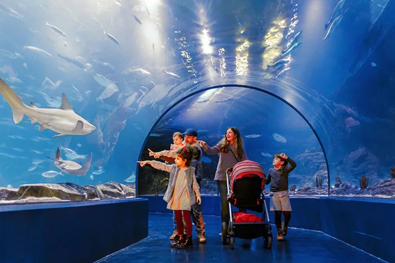 atlantis aquarium