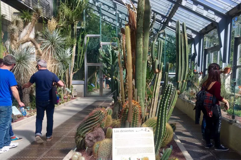 real jardin botánico madrid