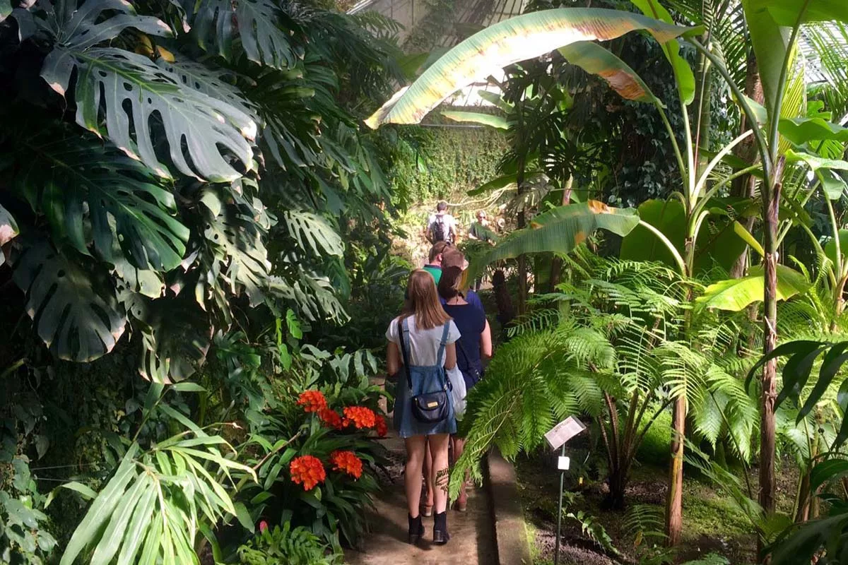 real jardin botánico madrid