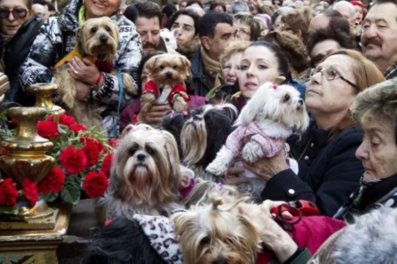 Fiestas de San Antón