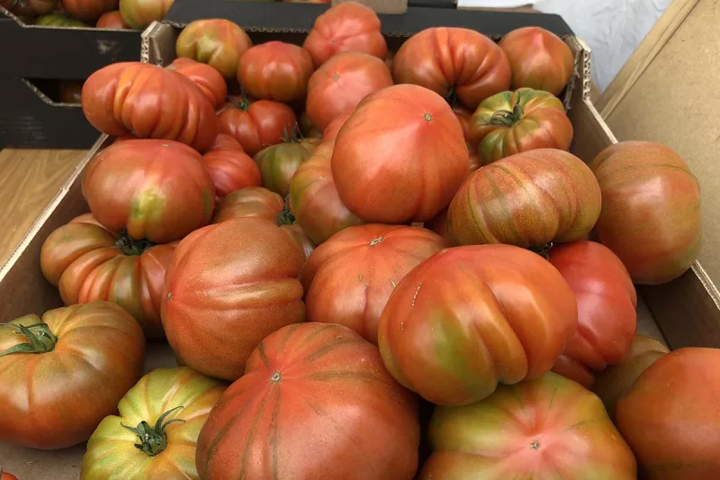 mercado de productores