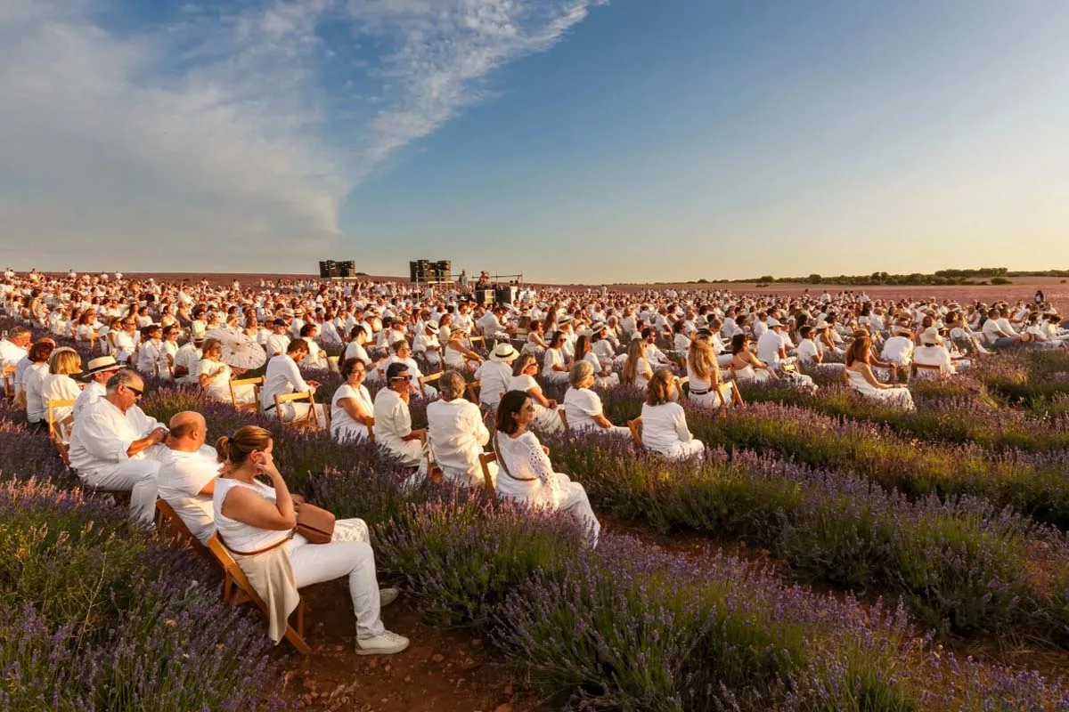 Festival de La Lavanda en Brihuega