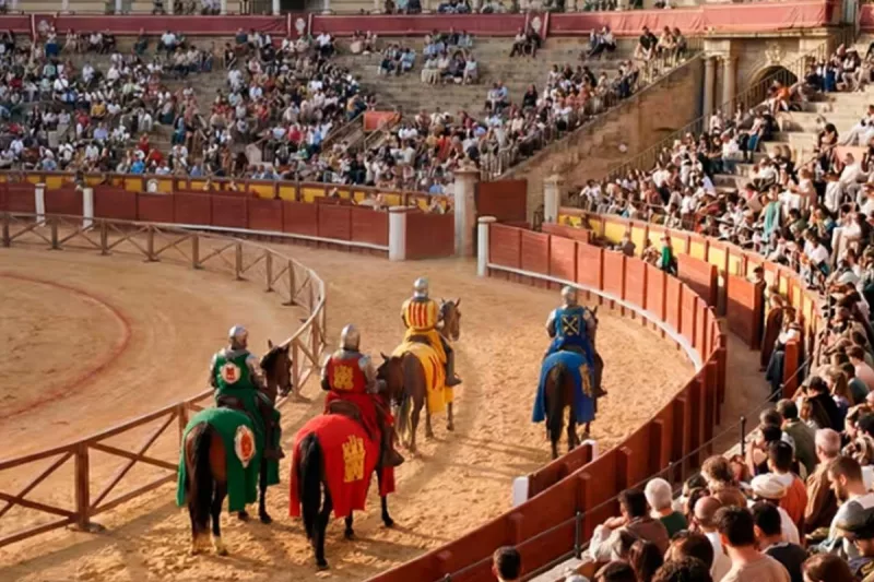 torneo medieval valladolid los 4 reinos